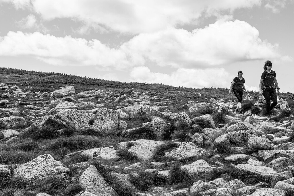 Hikers by darchibald