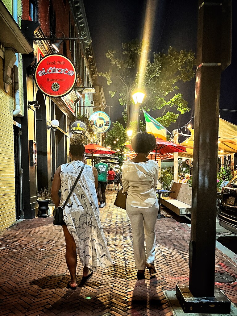 Just Gals Ambling (Baltimore) by jakb