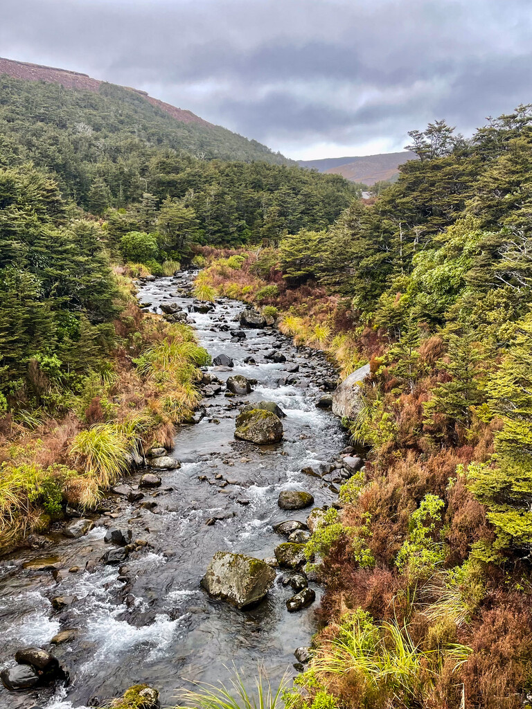 Cutting through the mountains by christinav