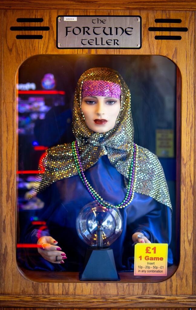 The Fortune Teller by swillinbillyflynn