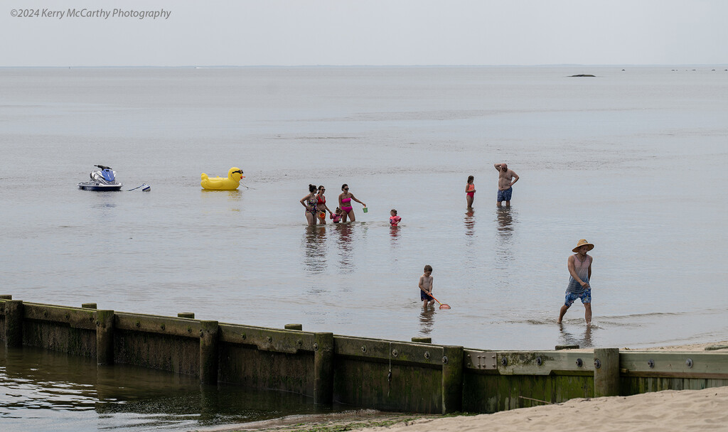 Trying to beat the heat by mccarth1