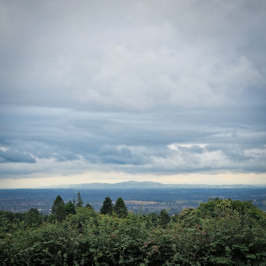 View of the Malvern Hills from the Lickey Hills by andyharrisonphotos