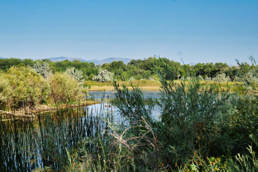 7 20 Riverbend Ponds looking West by sandlily