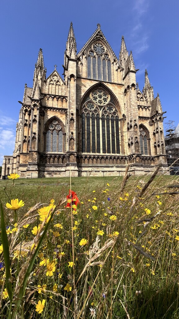 Lincoln Cathedral  by carole_sandford