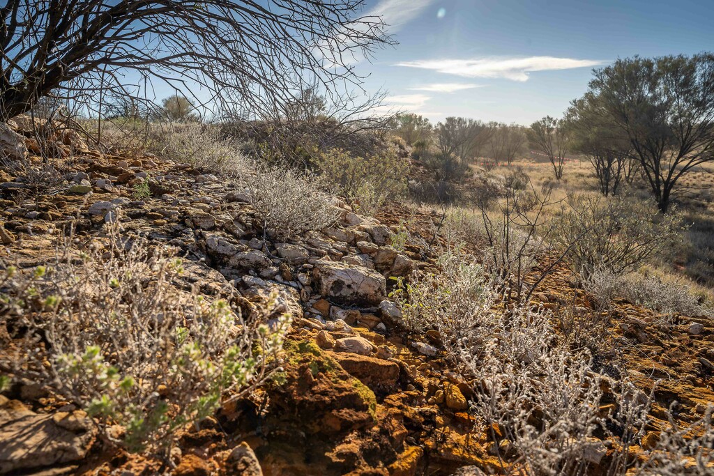 Desert dirt by pusspup