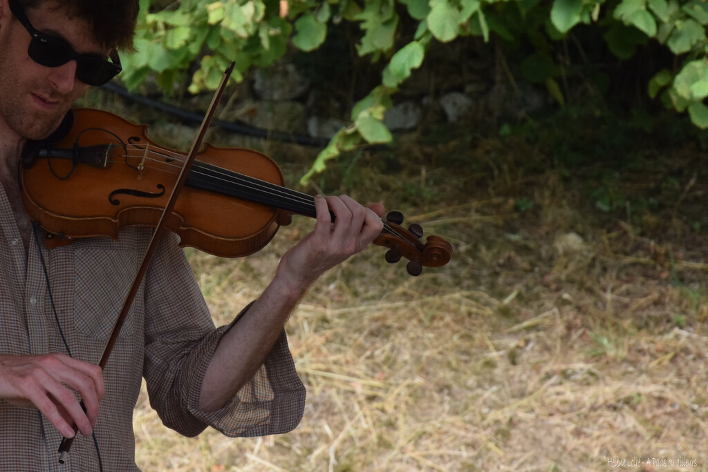 jazz violinist by parisouailleurs