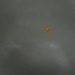 Weather Balloon
