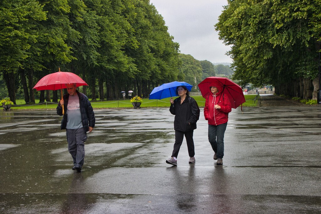 Rain In The Sculpture Park by okvalle