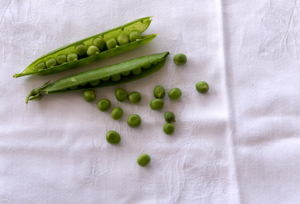 peas by brigette