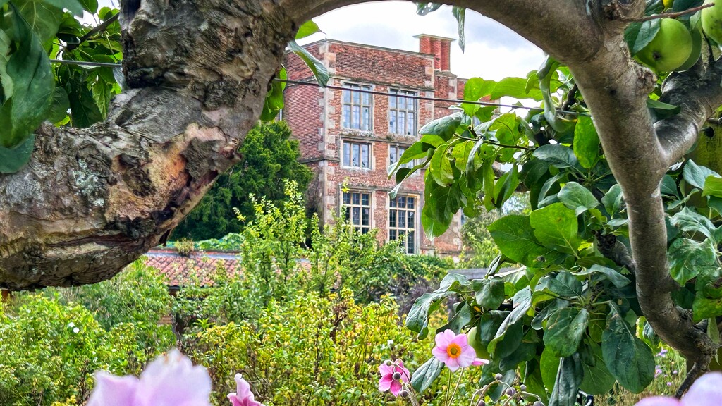 Through the Apple Trees by carole_sandford