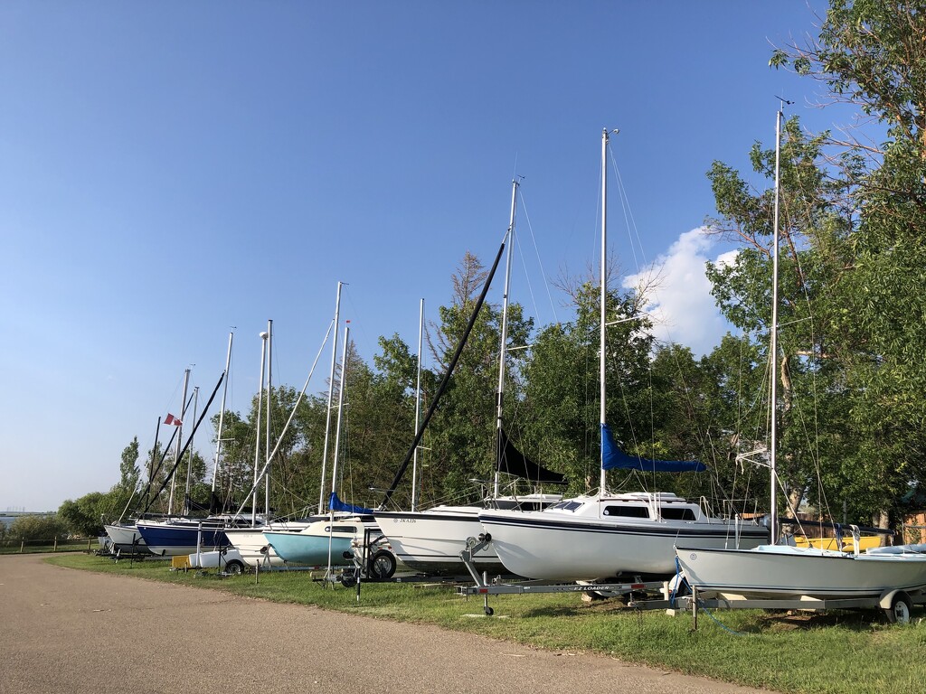 Sailboats Lined up by dailypix