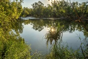 24th Jul 2024 - Katherine River