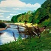 Bend in the river (painting) by stuart46