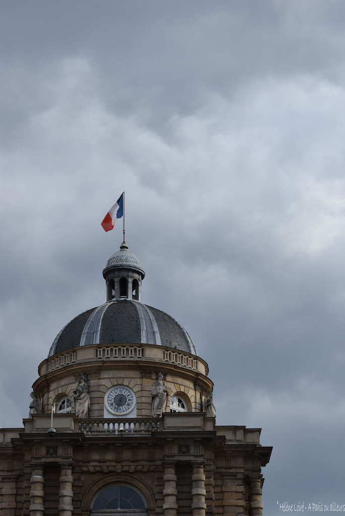 Senat by parisouailleurs