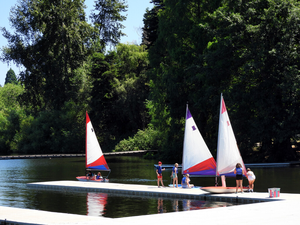 Green Lake Sailing by seattlite