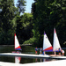 Green Lake Sailing by seattlite