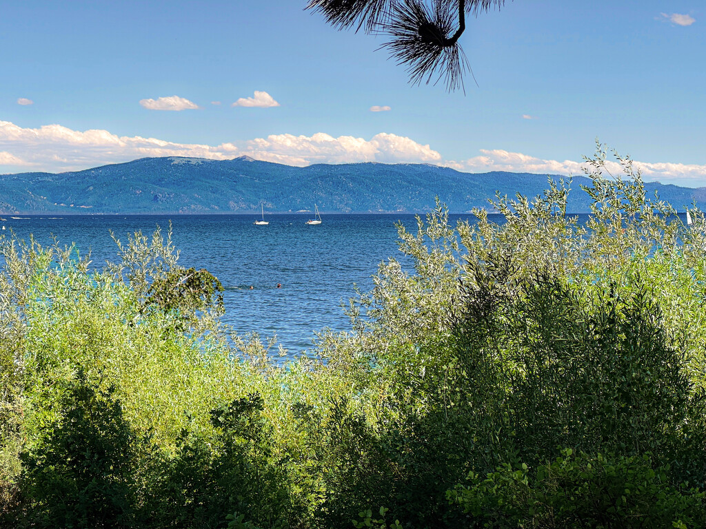 Lake Tahoe by shutterbug49