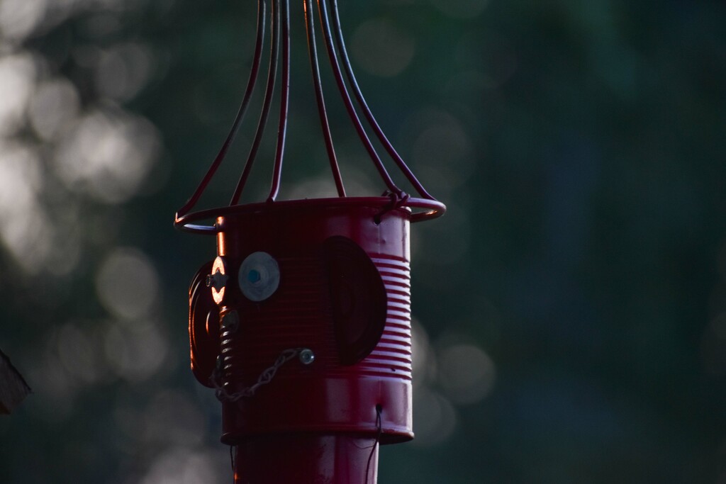 Our Tin Man In The Evening Light by bjywamer