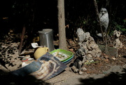 23rd Jul 2024 - Forgotten Artifacts
