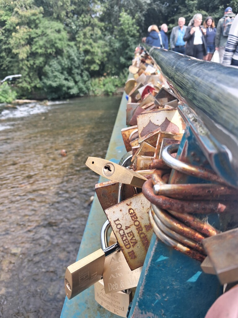 Day 209/366. Bakewell love locks  by fairynormal