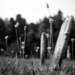 cemetery  by northy