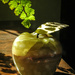 Stilllife: Marble apple.