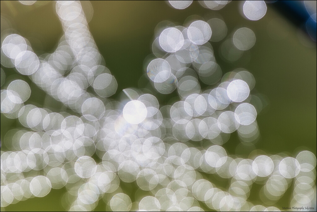 Bokeh water droplets by mortmanphotography