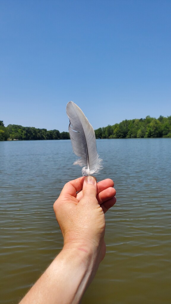 I'll Fly Away  by alophoto