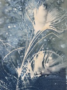 18th Jul 2024 - Cyanotype play. 