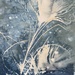 Cyanotype play. 