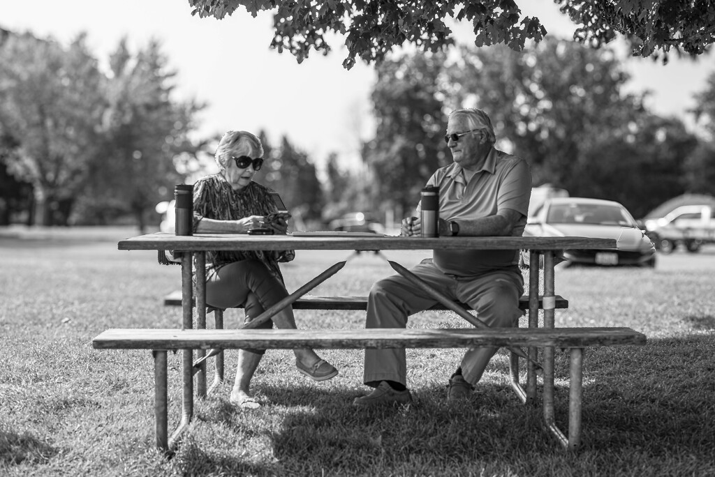 Cribbage by darchibald