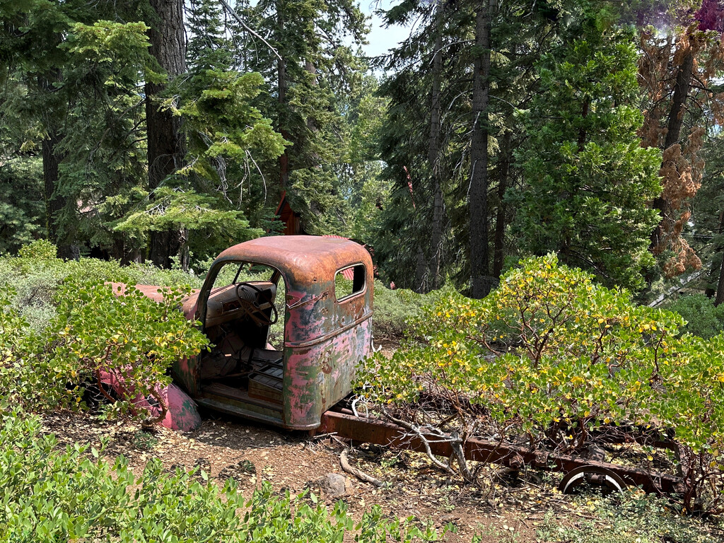 Old Truck by shutterbug49