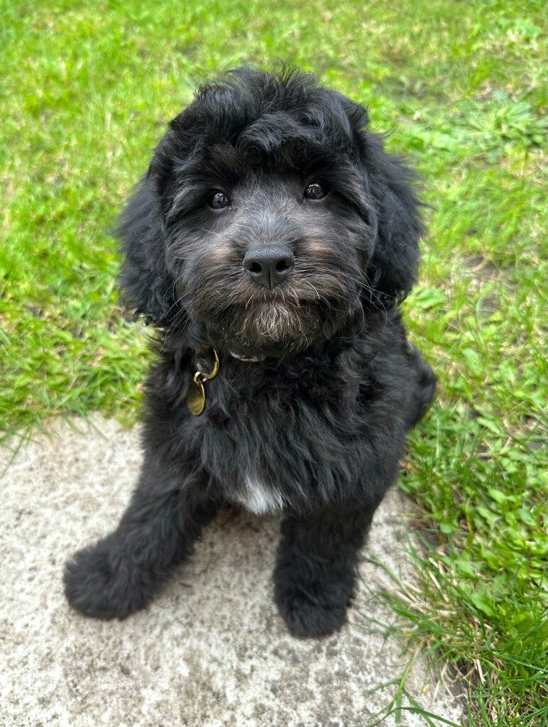 Handsome boy  by wendystout