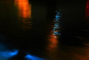 10th Jul 2024 - Bioluminescent Plus