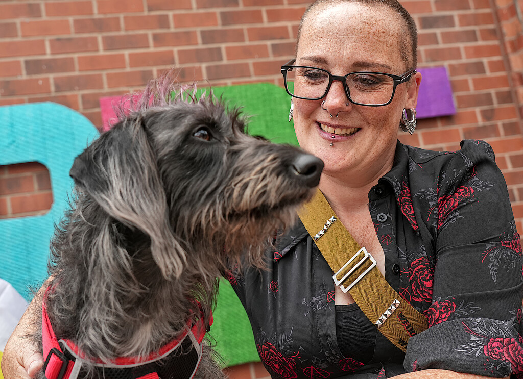 Dogs Of Pride : Shadow by phil_howcroft