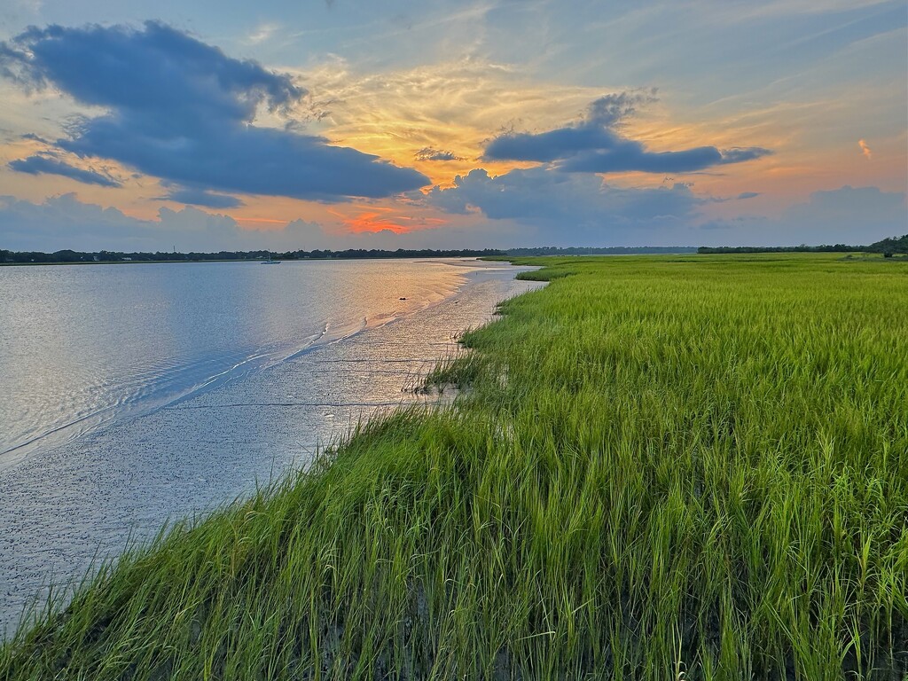 Tranquil early evening with marsh view by congaree