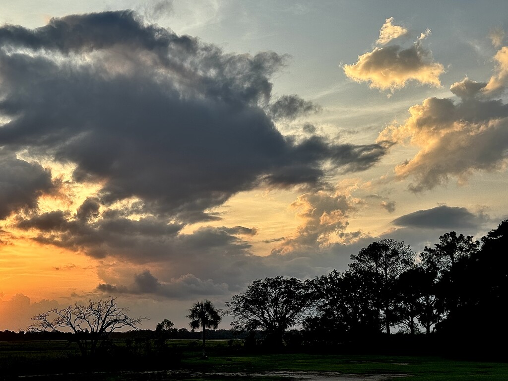 Marsh clouds at sunset by congaree