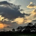 Marsh clouds at sunset by congaree