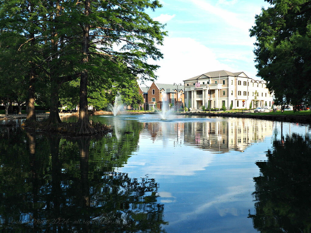 reflections on Theta Pond by summerfield