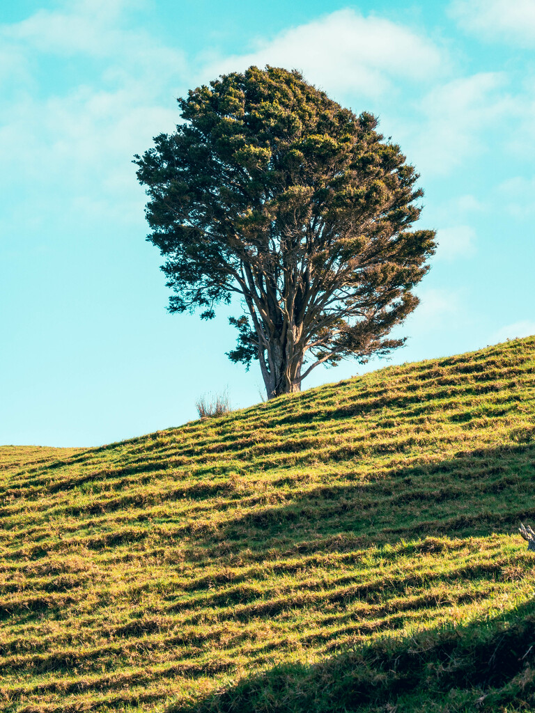 Farm land walk by christinav