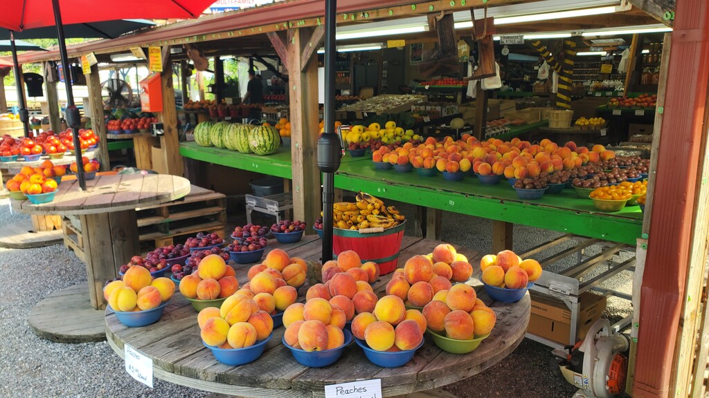 At the Produce Market by alophoto