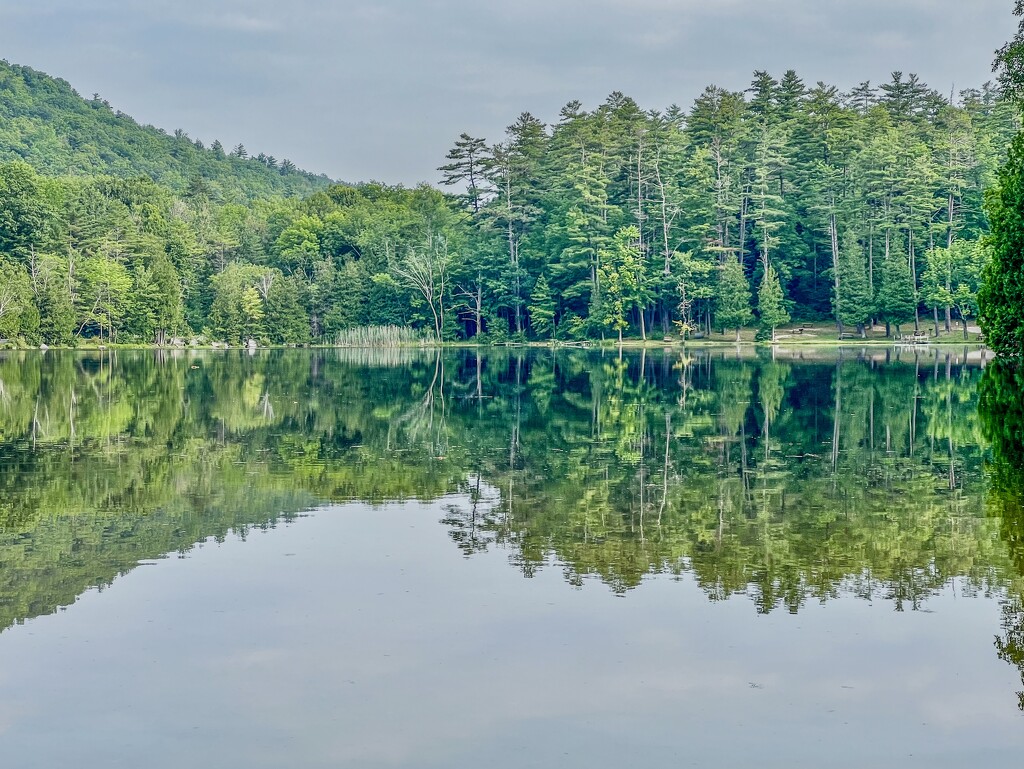 Morning Reflections by corinnec