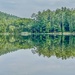 Morning Reflections by corinnec