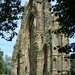 Gisborough Priory by fishers