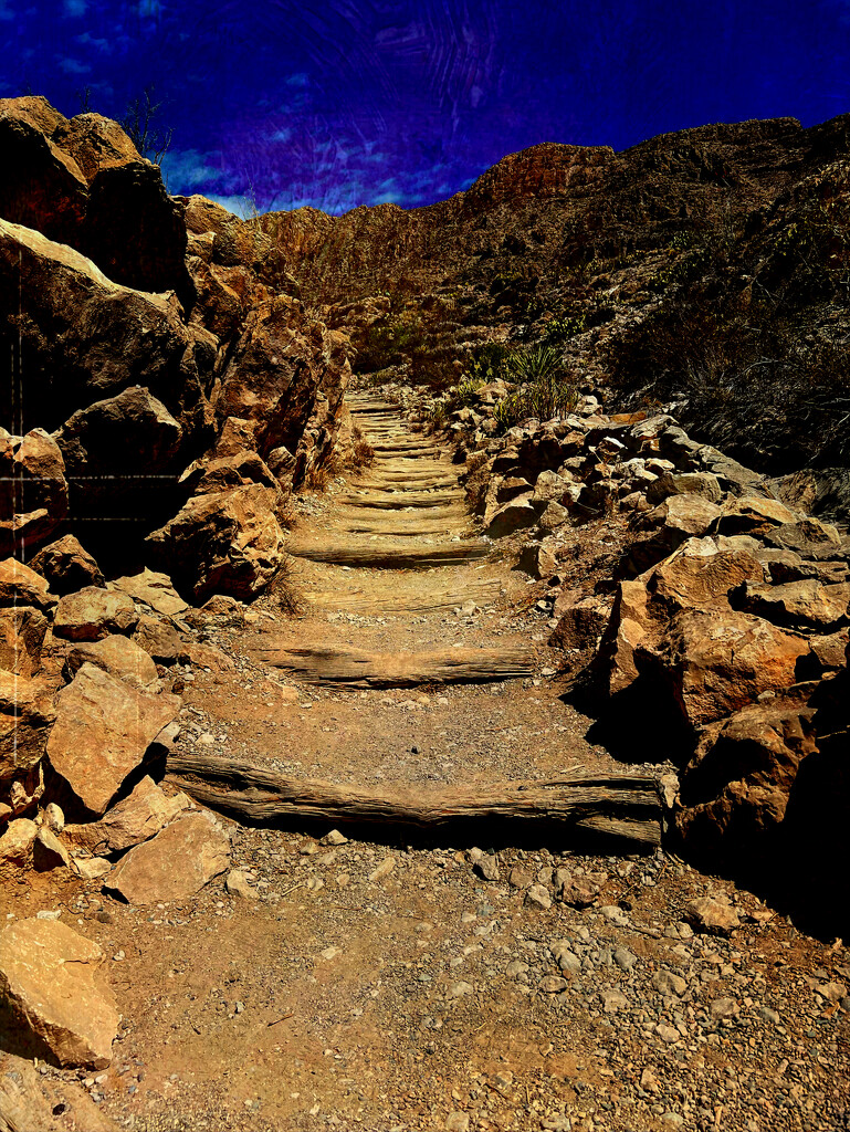 Desert Steps by dkellogg