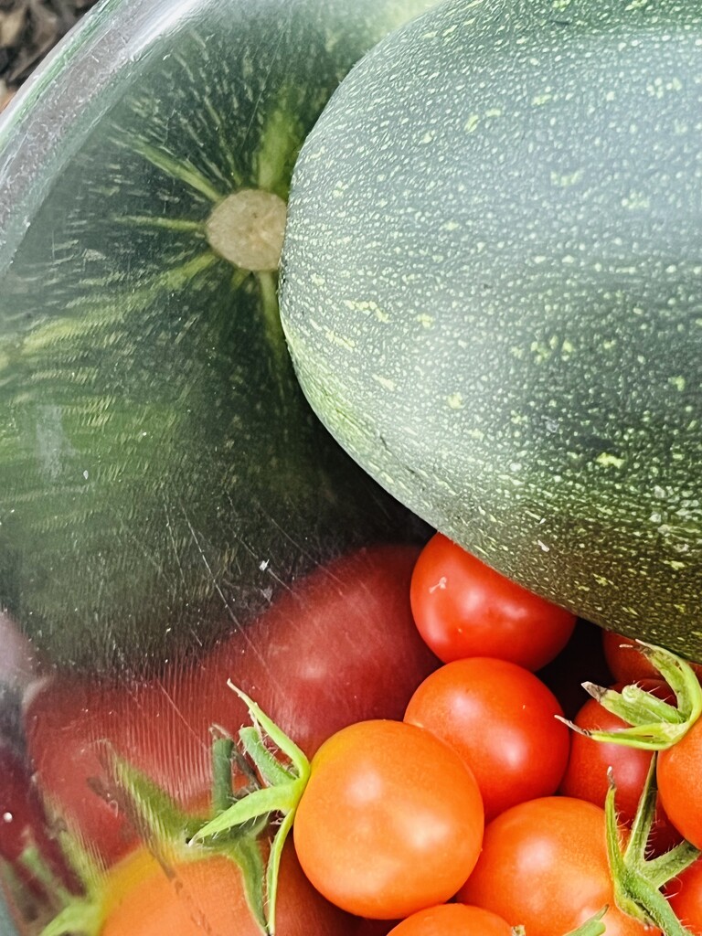 Veggie Bowl by sjgiesman