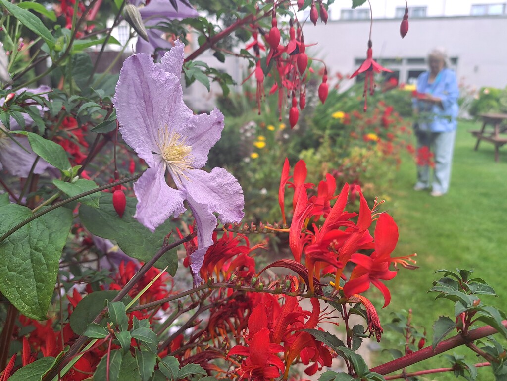 Stopping  to admire the flowers  by jokristina