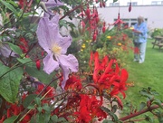 26th Jul 2024 - Stopping  to admire the flowers 