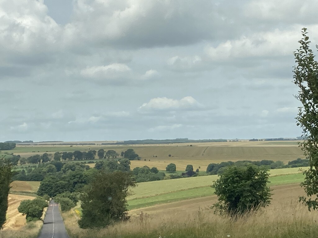 Salisbury Plain by cataylor41