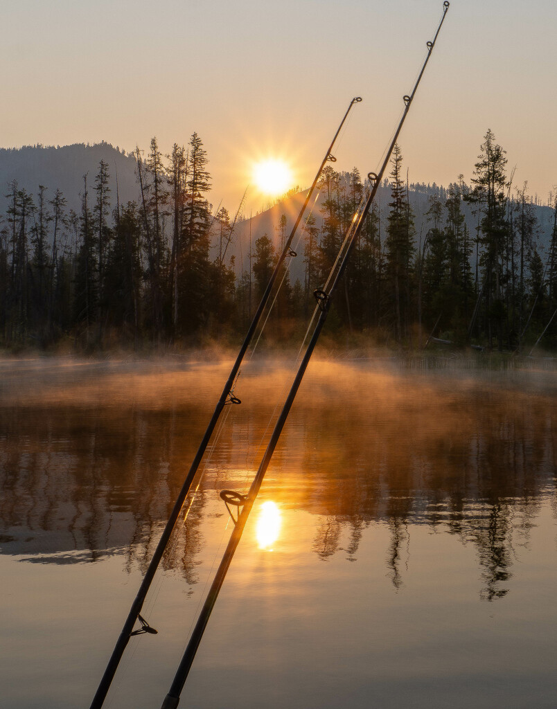 Sunrise and Fishing Rods by veronicalevchenko